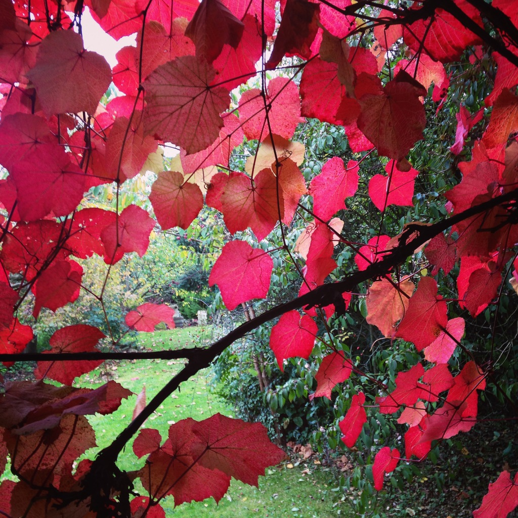 Photo 28-10-2014 14 24 04