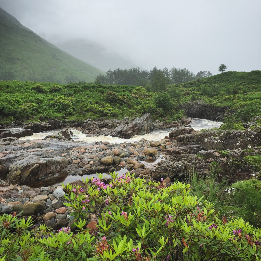 Photo 13-07-2015 11 24 30