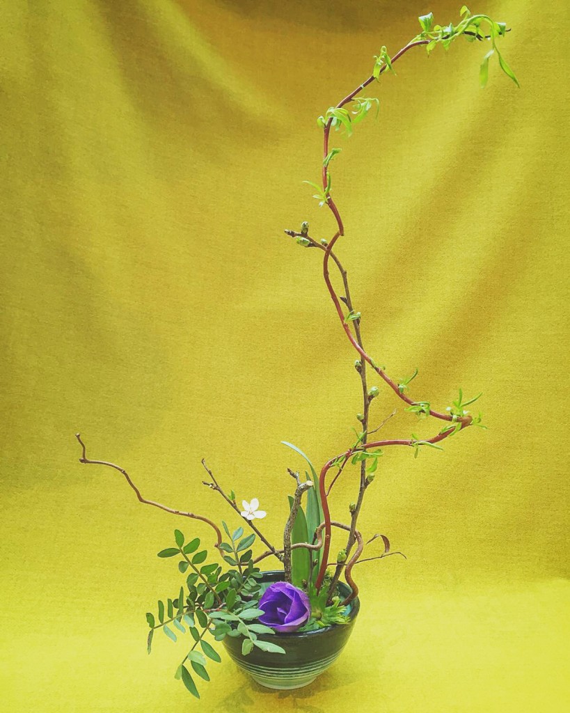 Photo 07-02-2016, 11 40 10