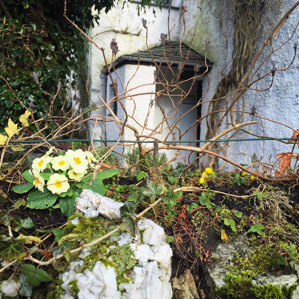 Photo 05-03-2016, 14 51 52