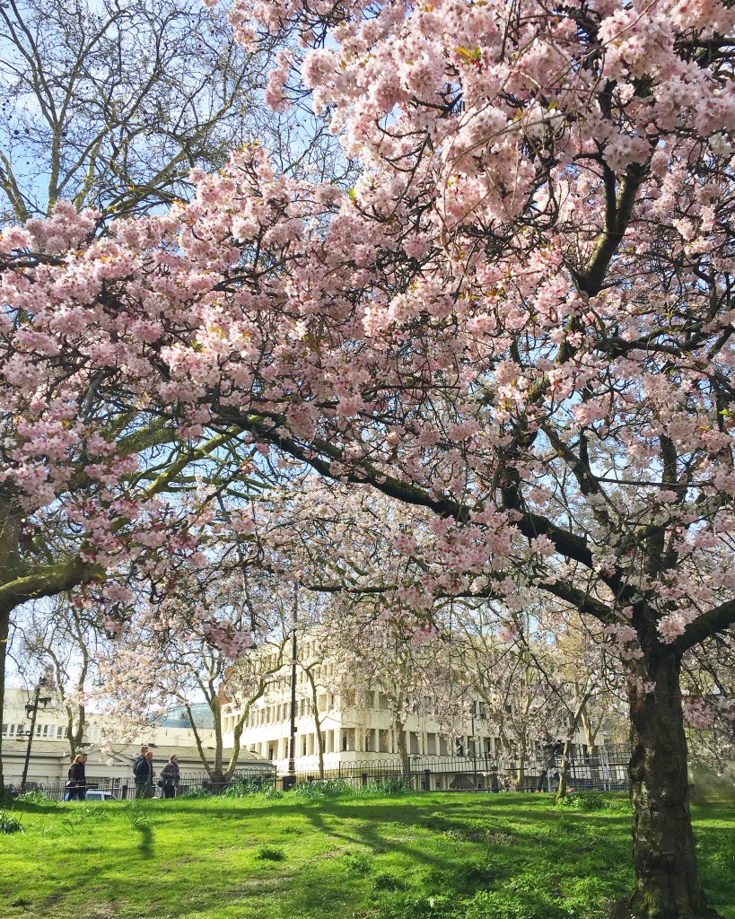 Photo 12-04-2016, 10 35 21