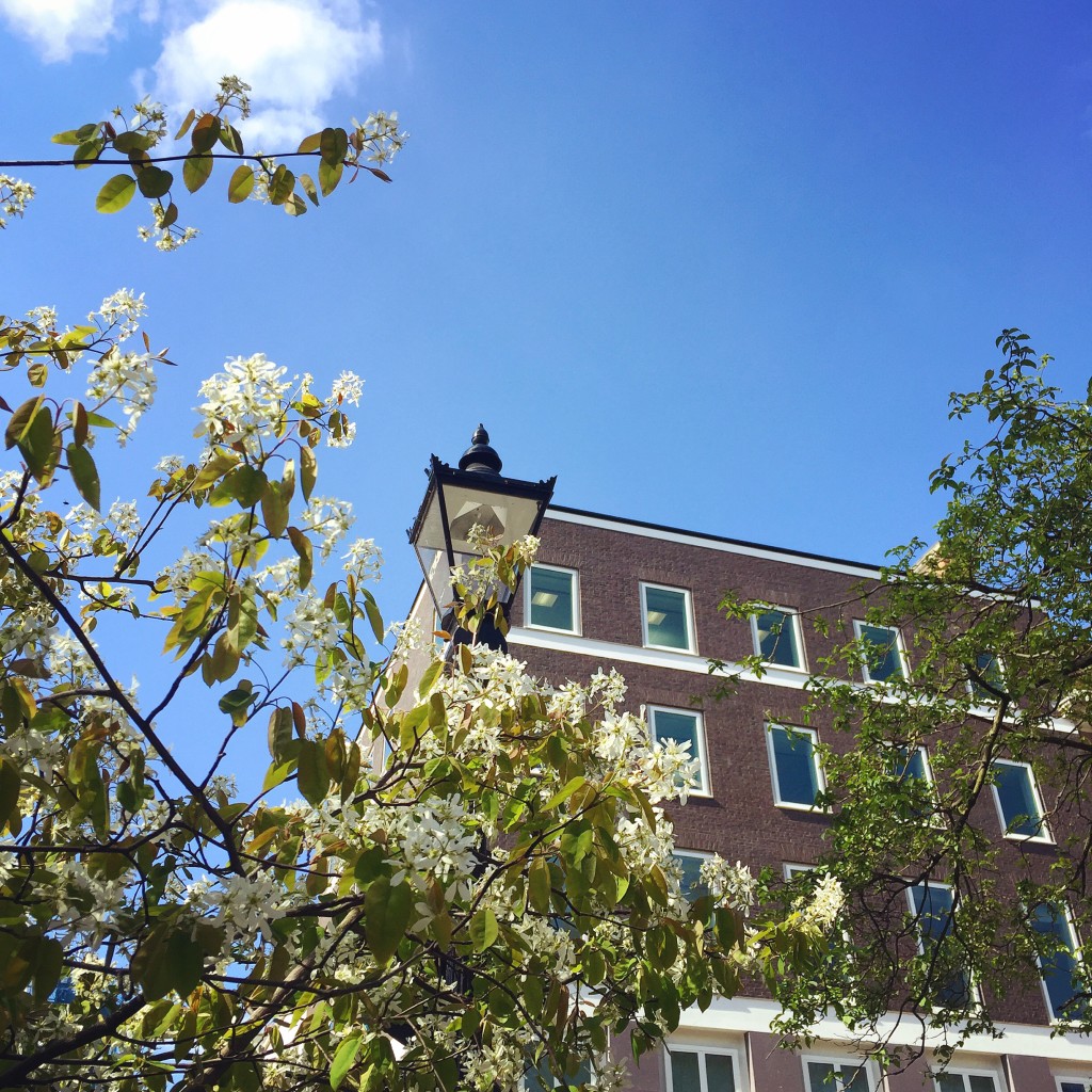 Photo 19-04-2016, 15 35 13