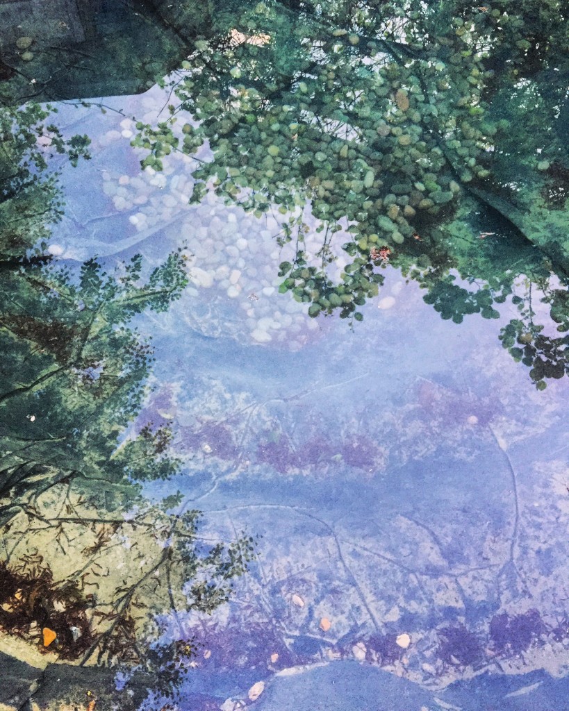 Photo 15-05-2016, 20 29 55