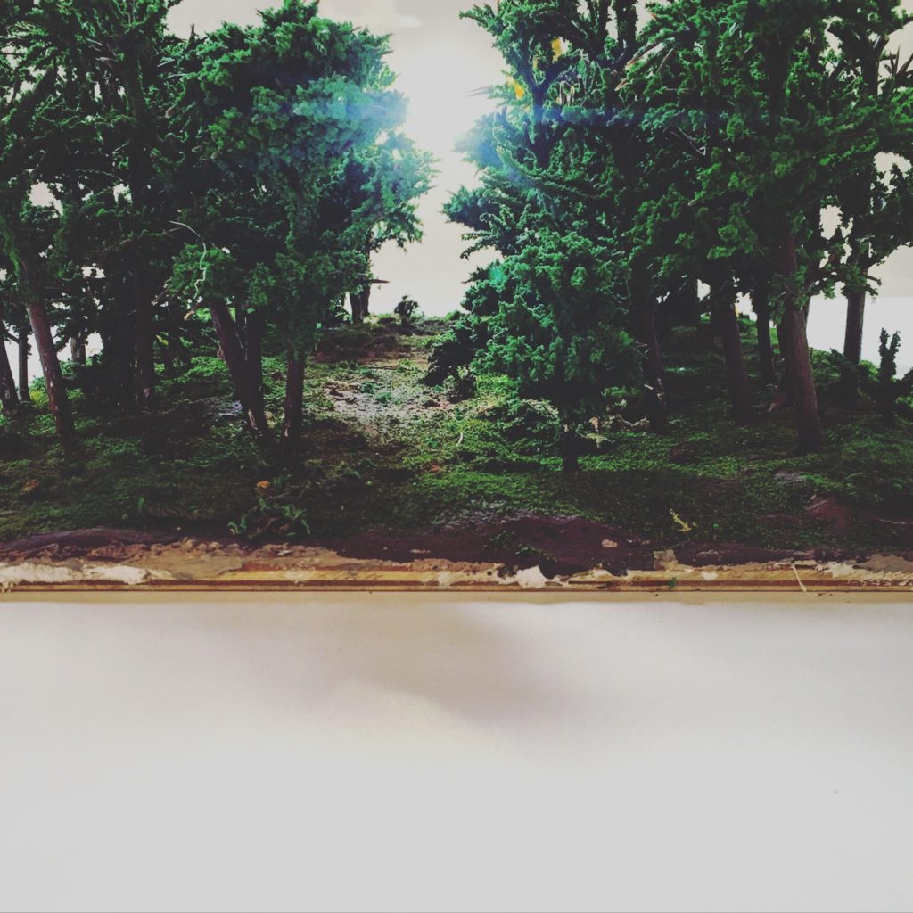 Photo 01-07-2016, 13 34 52