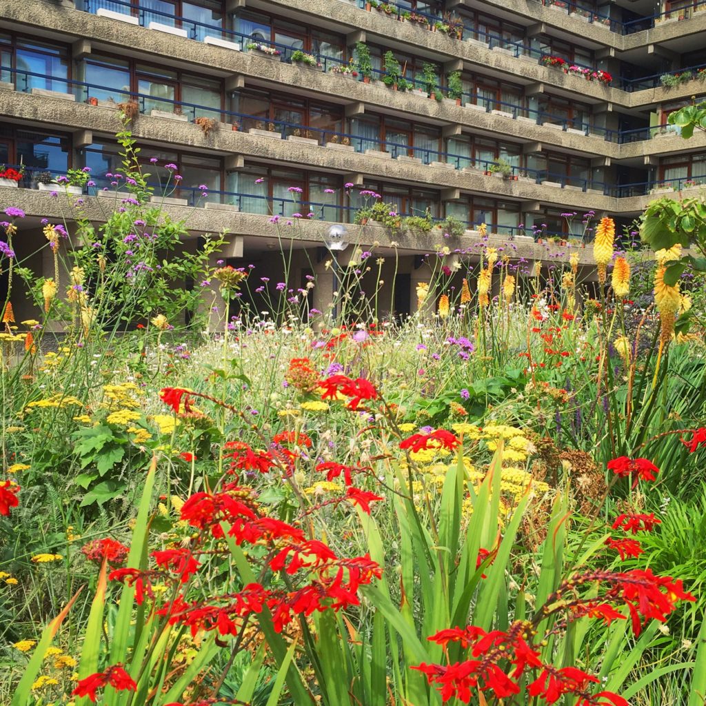 Photo 18-07-2016, 11 12 25