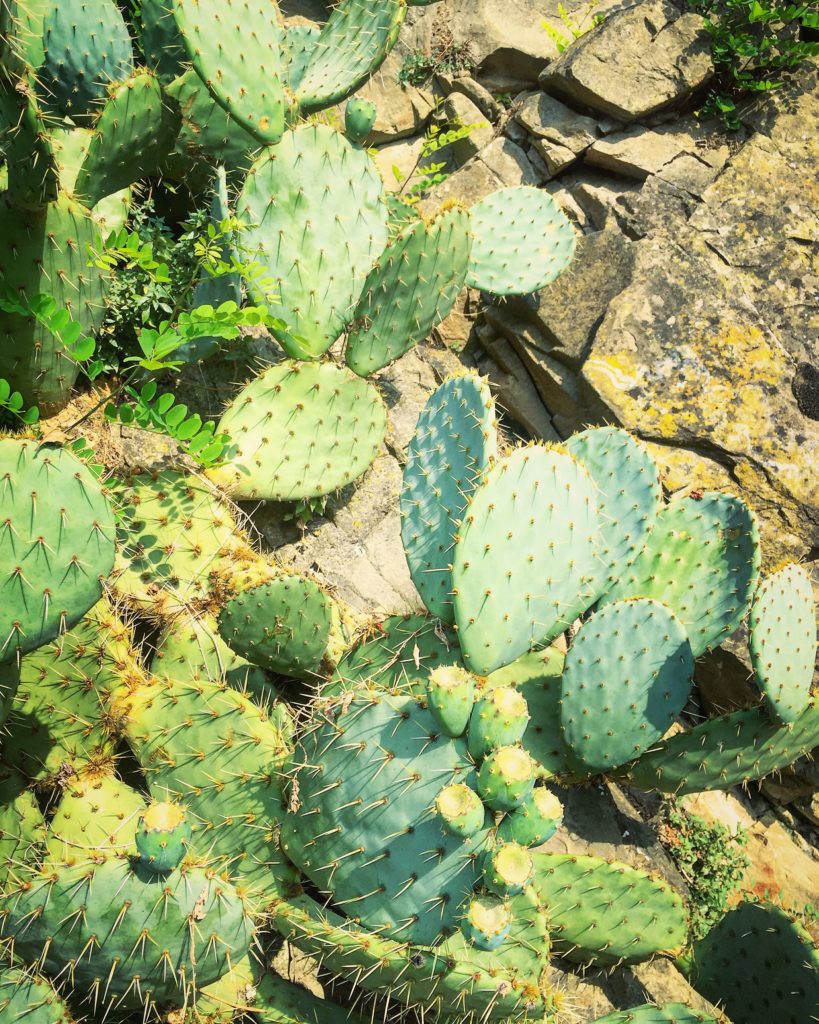 Photo 05-08-2016, 09 15 07