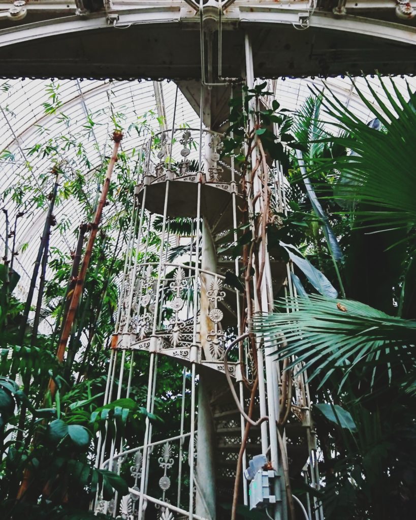 the-palm-house-at-kew-11