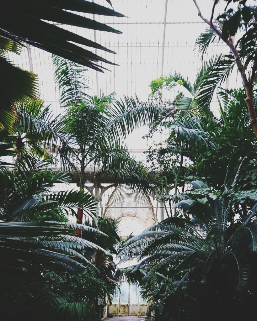 the-palm-house-at-kew-13