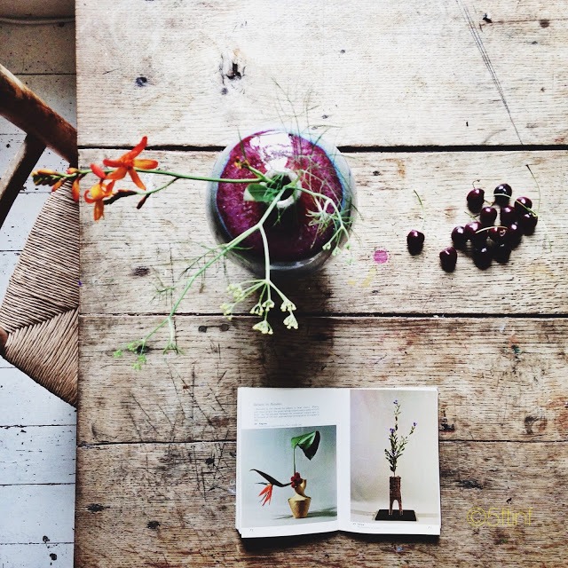 Lifestyle flat lay photography inspiration | 5FTINF Philippa Stanton