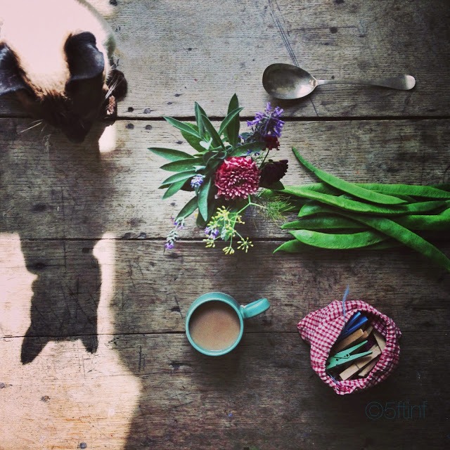 Lifestyle flat lay photography inspiration | 5FTINF Philippa Stanton