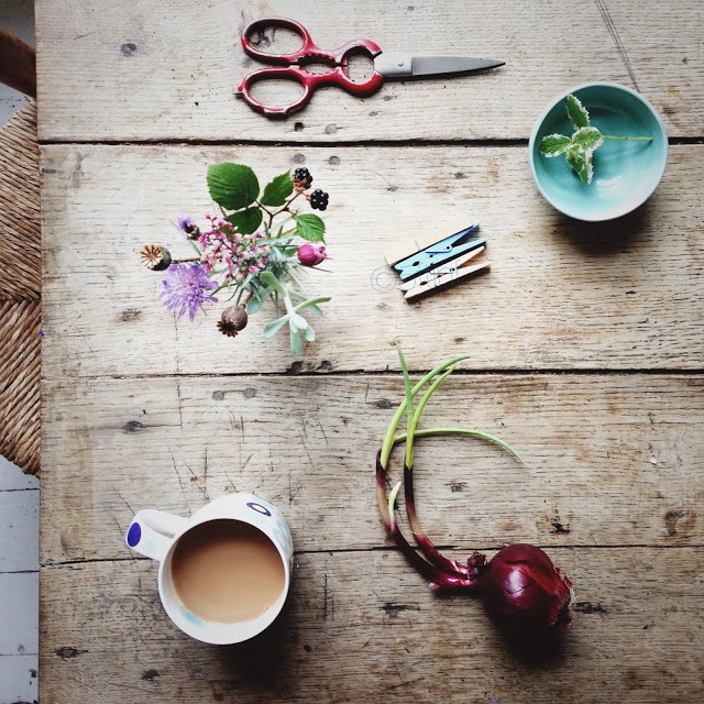 Lifestyle flat lay photography inspiration | 5FTINF Philippa Stanton