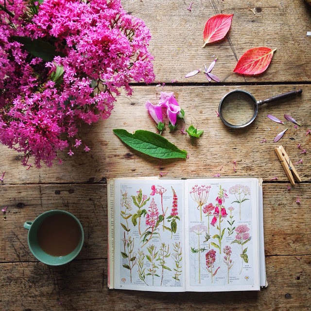 Flat lay photography ideas | 5FTINF Philippa Stanton