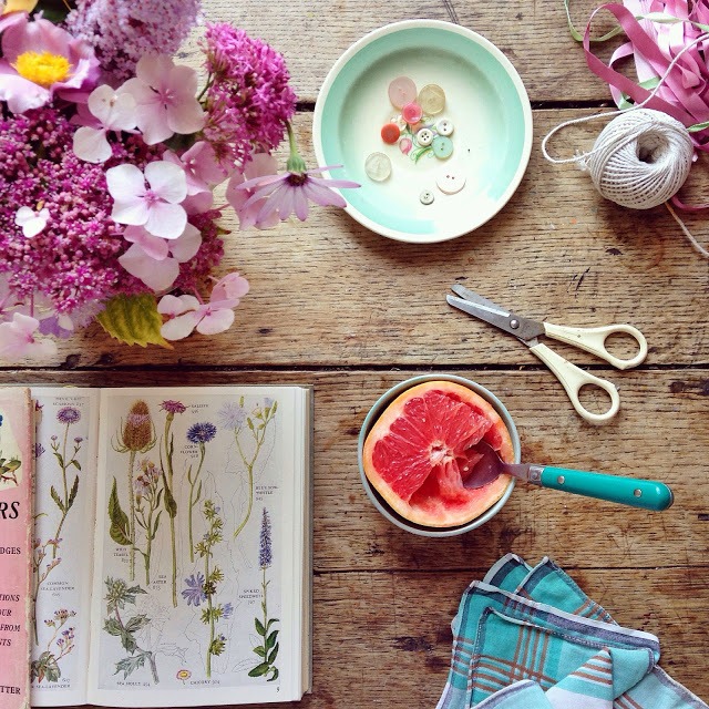 Flower flat lay photography ideas | 5FTINF Philippa Stanton