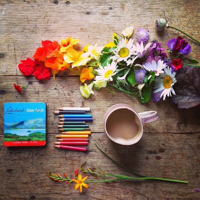 Flower flat lay photography ideas | 5FTINF Philippa Stanton