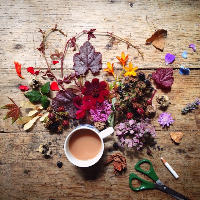 Flower flat lay photography ideas | 5FTINF Philippa Stanton