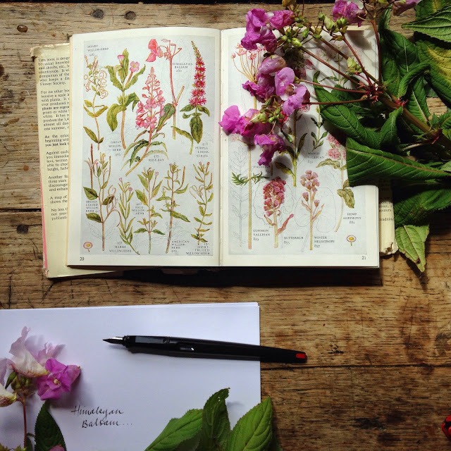 Flower flat lay photography ideas | 5FTINF Philippa Stanton