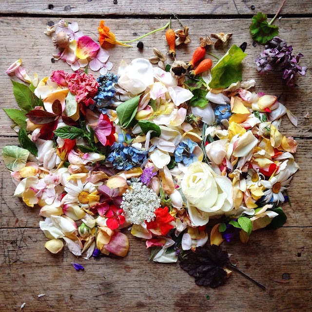 Flower flat lay photography ideas | 5FTINF Philippa Stanton