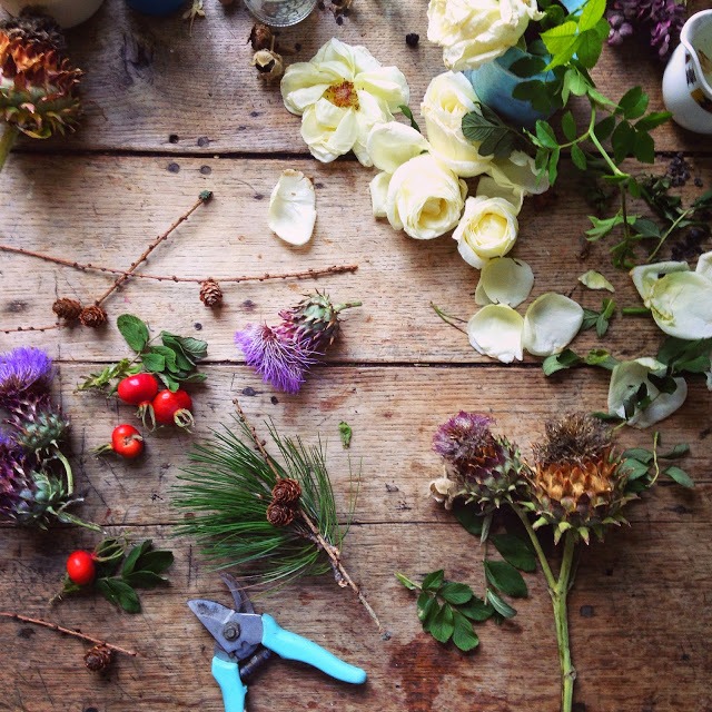 Flower flat lay photography ideas | 5FTINF Philippa Stanton