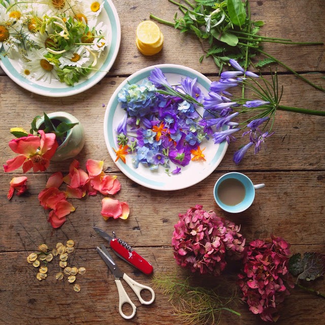 Flower flat lay photography ideas | 5FTINF Philippa Stanton