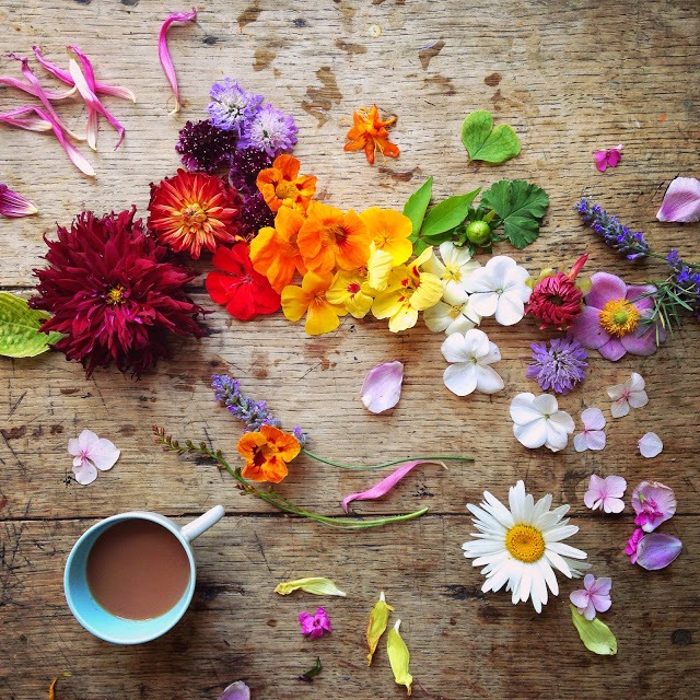 Flower flat lay photography ideas | 5FTINF Philippa Stanton