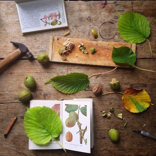 Leaves flat lay photography ideas | 5FTINF Philippa Stanton