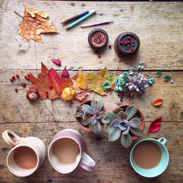 Flower flat lay photography ideas | 5FTINF Philippa Stanton