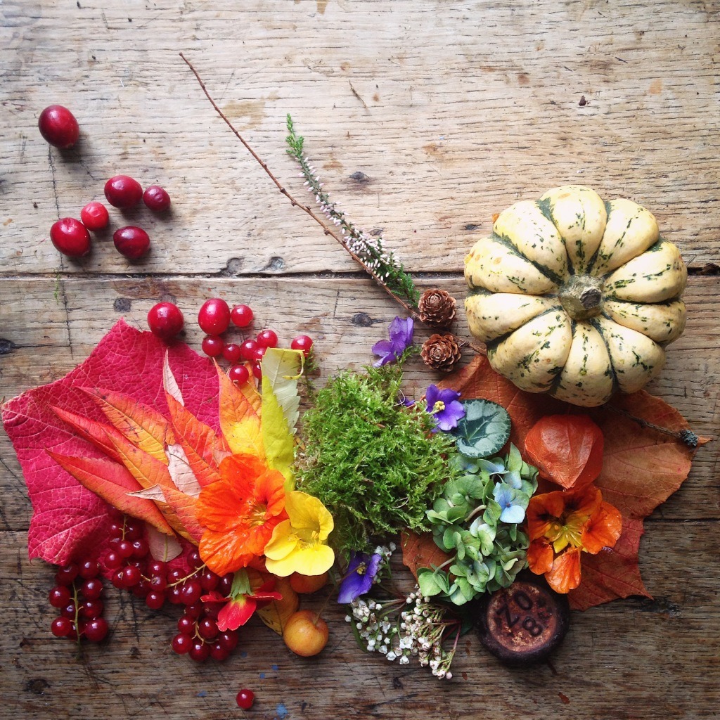 Flower & pumpkin flat lay photography ideas | 5FTINF Philippa Stanton