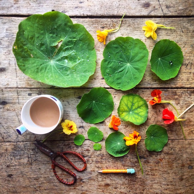 Leaves flat lay photography ideas | 5FTINF Philippa Stanton