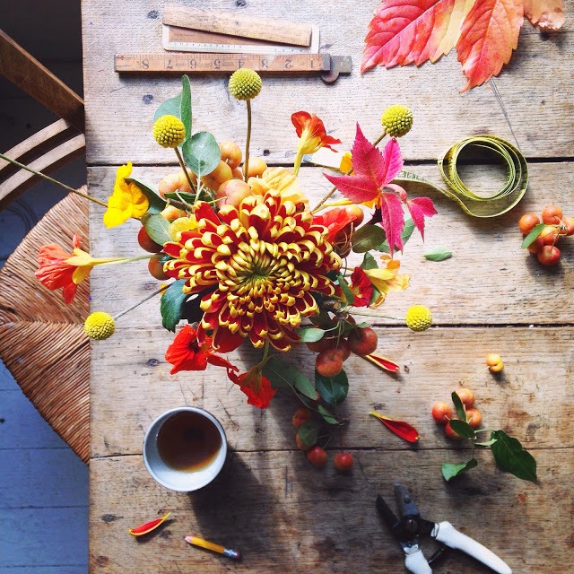 Flower & leaves flat lay photography ideas | 5FTINF Philippa Stanton