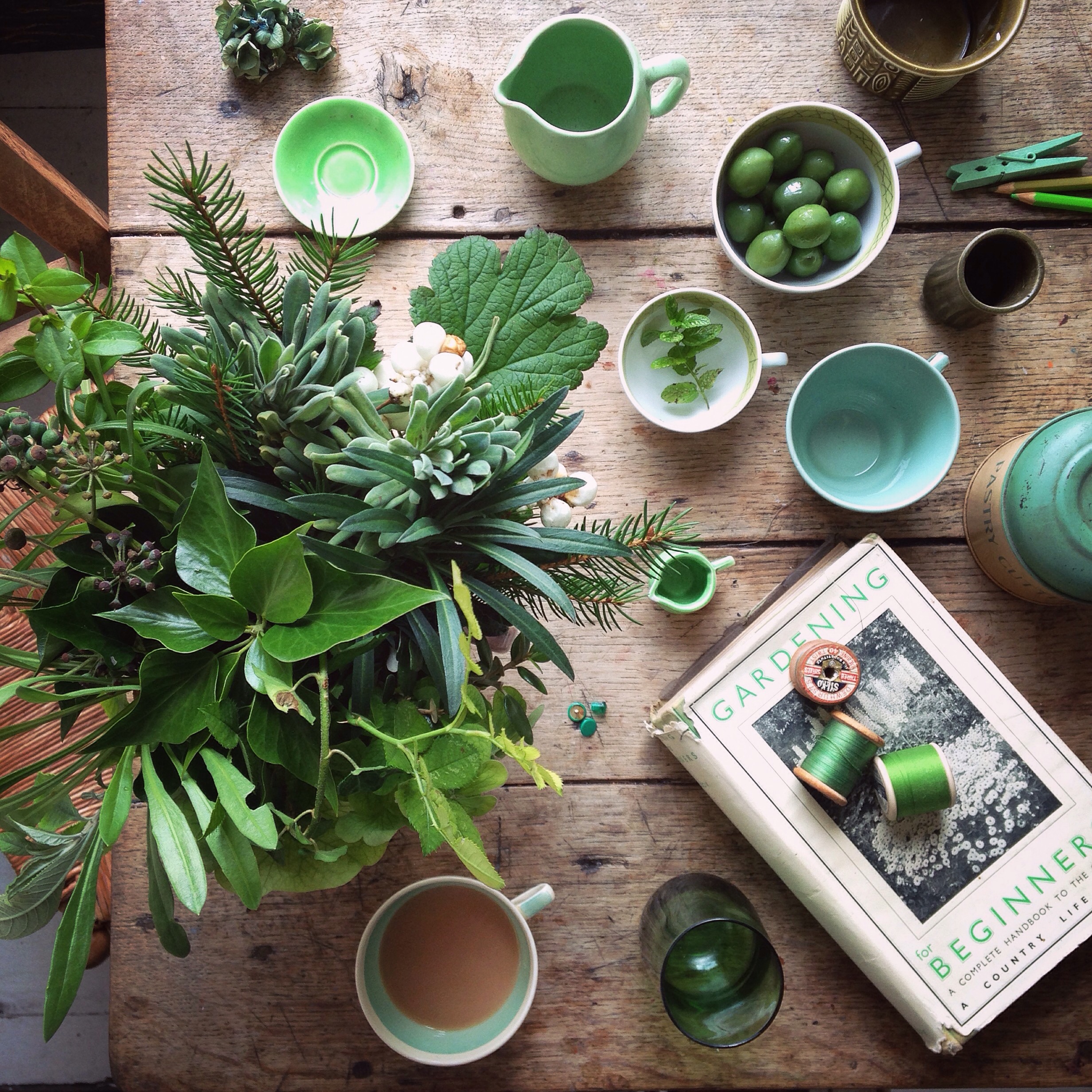 Green flat lay photography ideas | 5FTINF Philippa Stanton