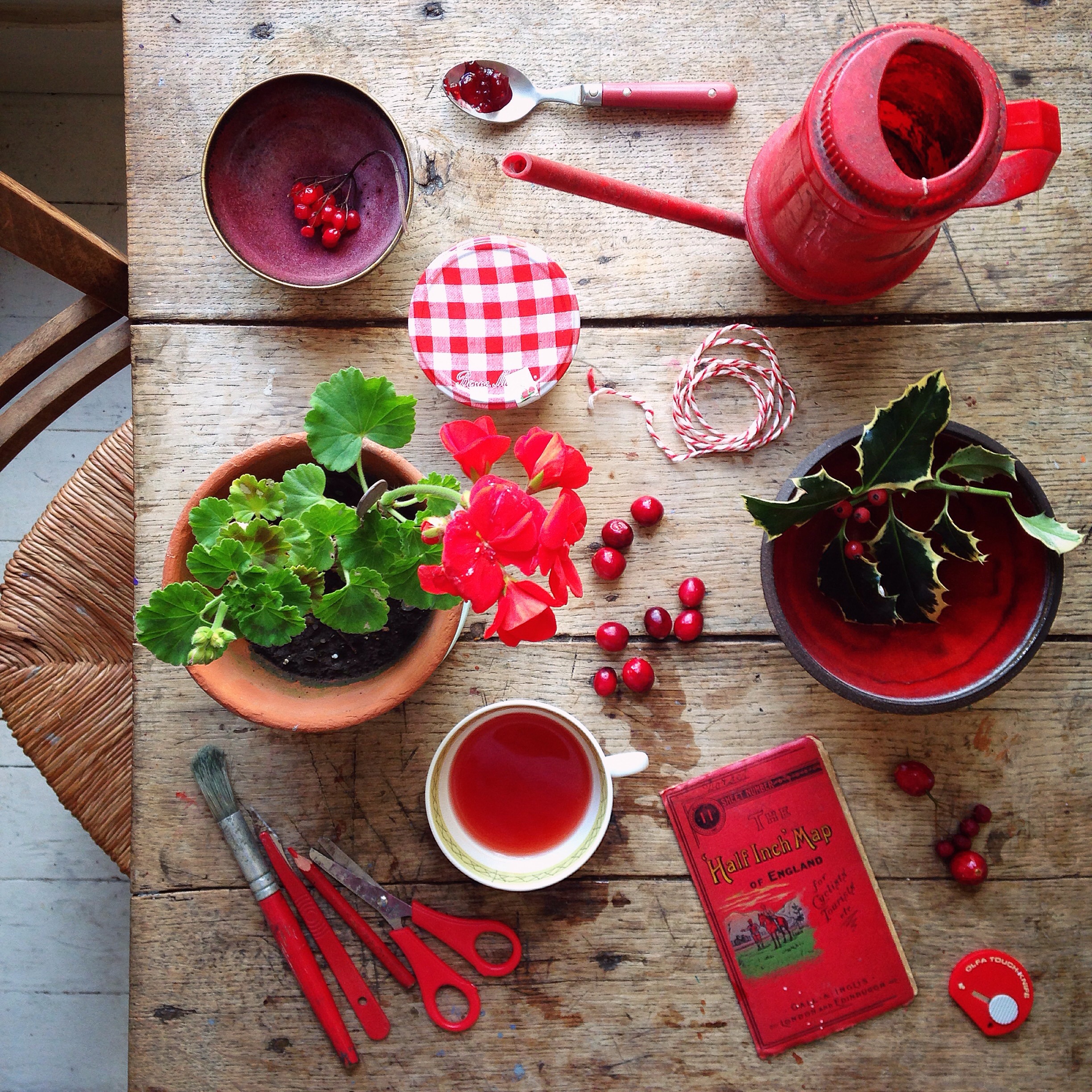 Flower flat lay photography ideas | 5FTINF Philippa Stanton