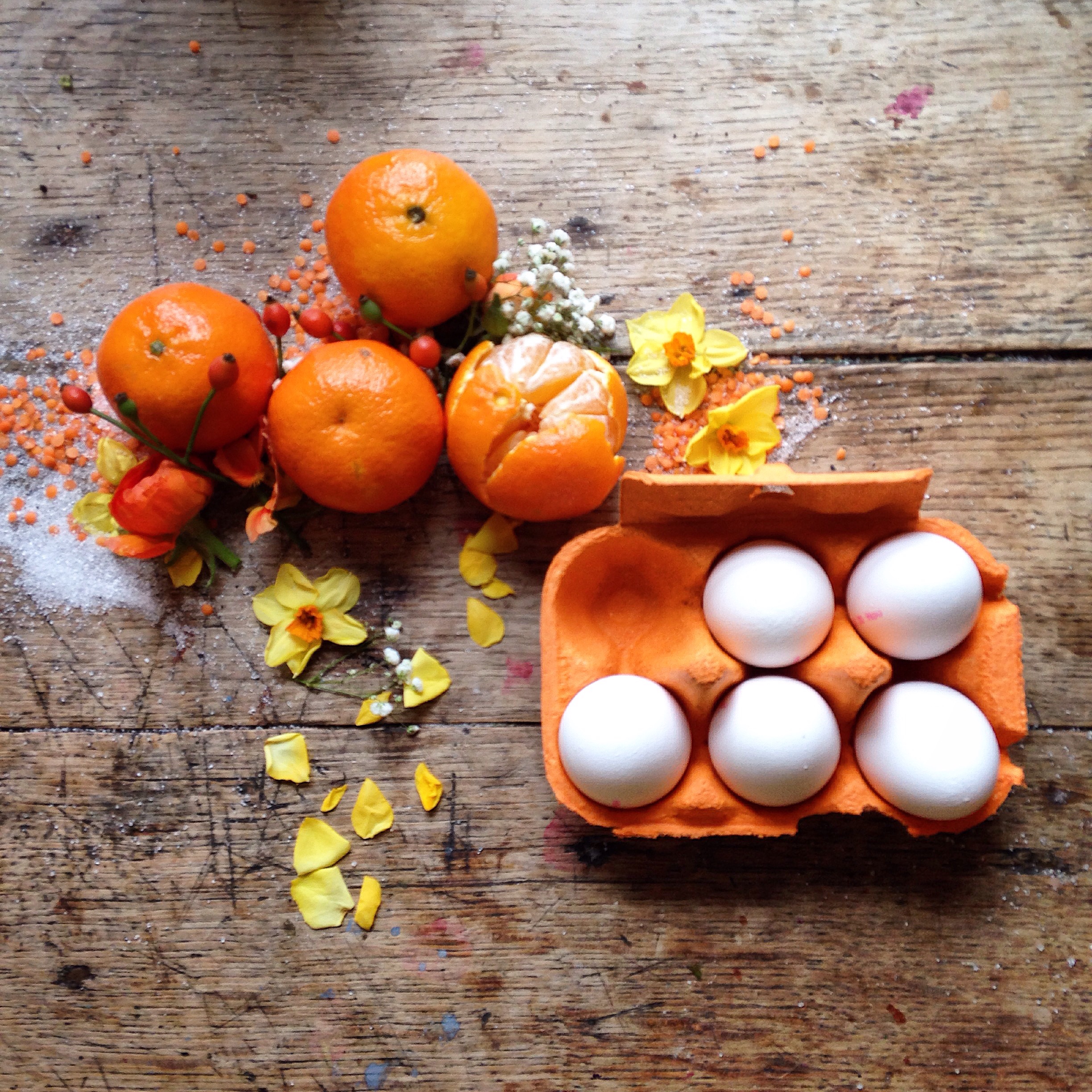 Orange flat lay photography ideas | 5FTINF Philippa Stanton