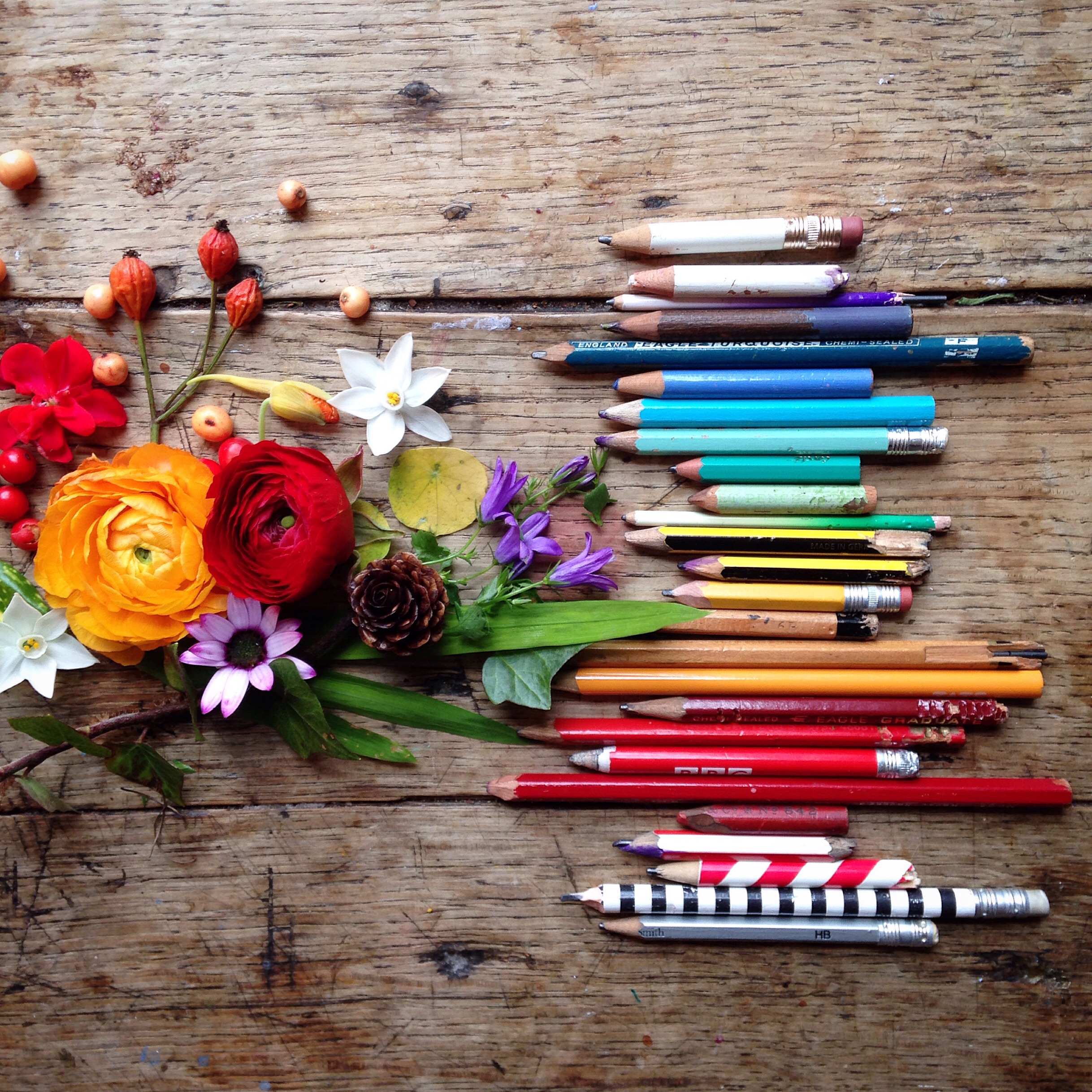 Flower flat lay photography ideas | 5FTINF Philippa Stanton