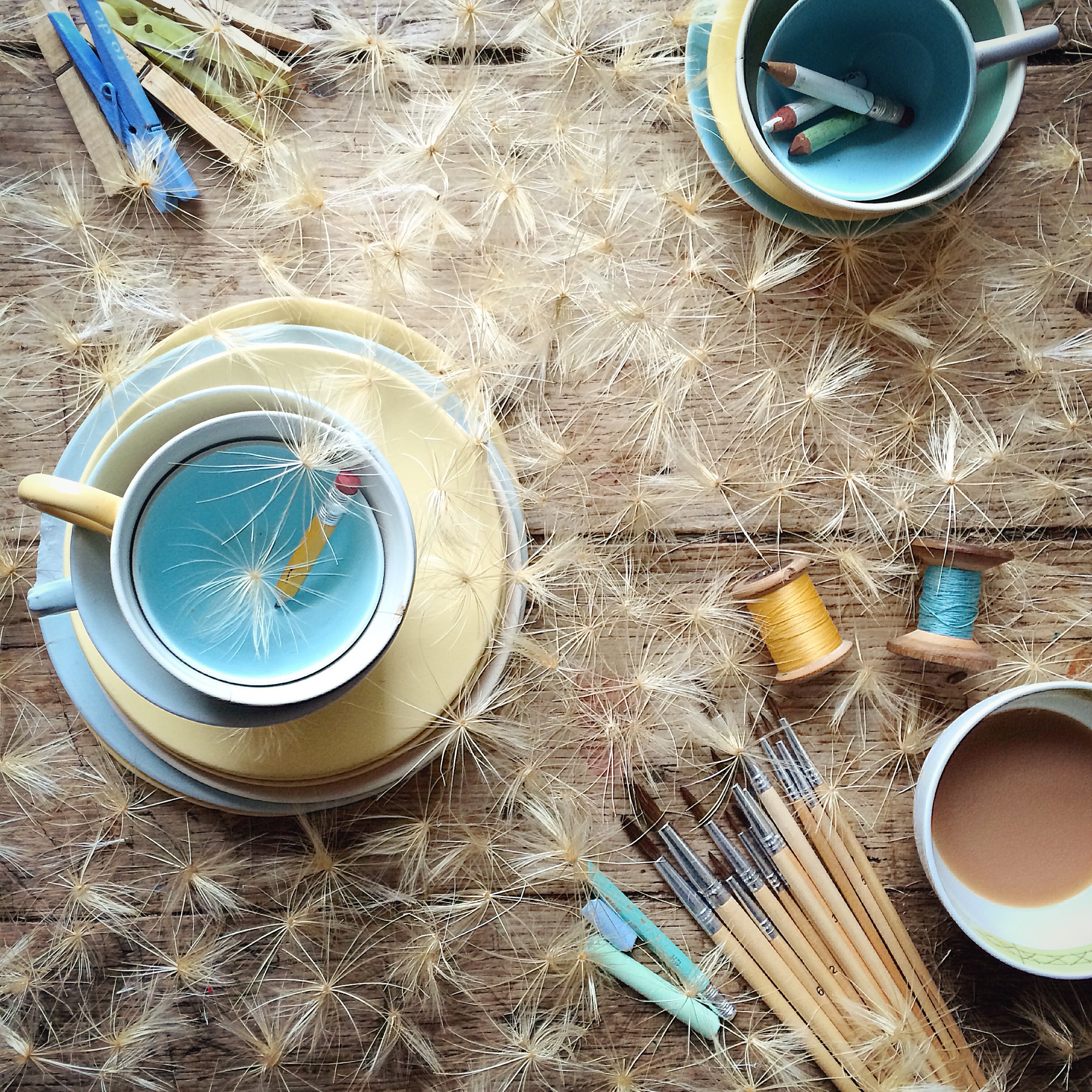 Flower flat lay photography inspiration | Philippa Stanton