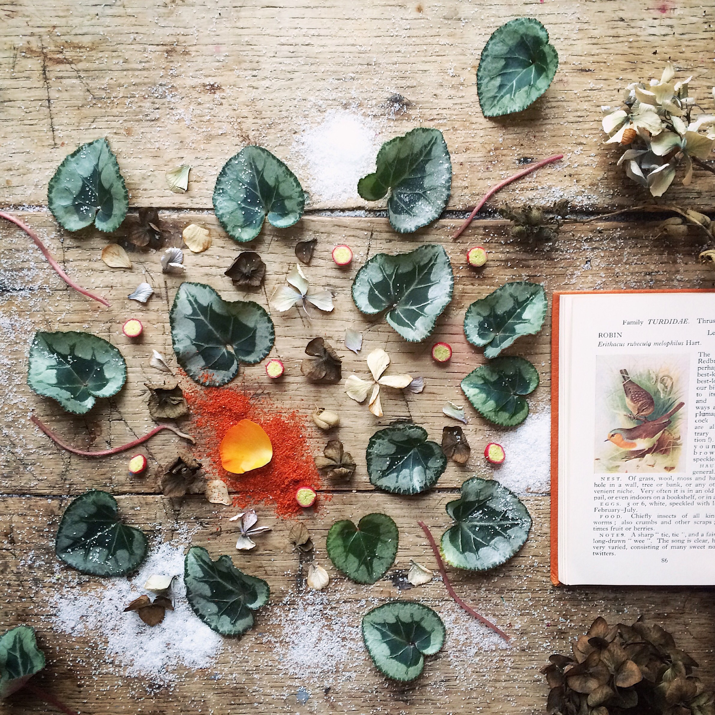 Book flat lay photography inspiration | Philippa Stanton