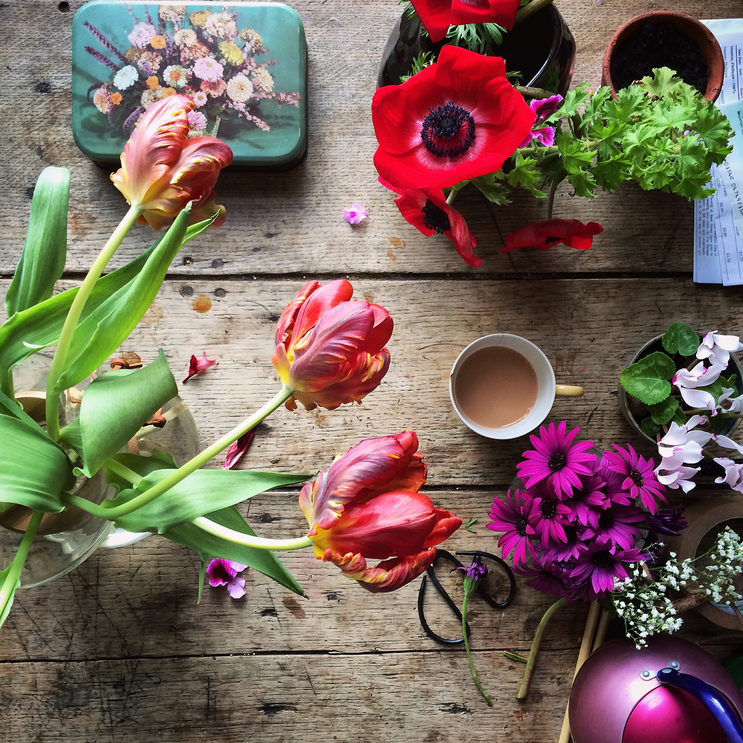 Flower flat lay photography inspiration | Philippa Stanton