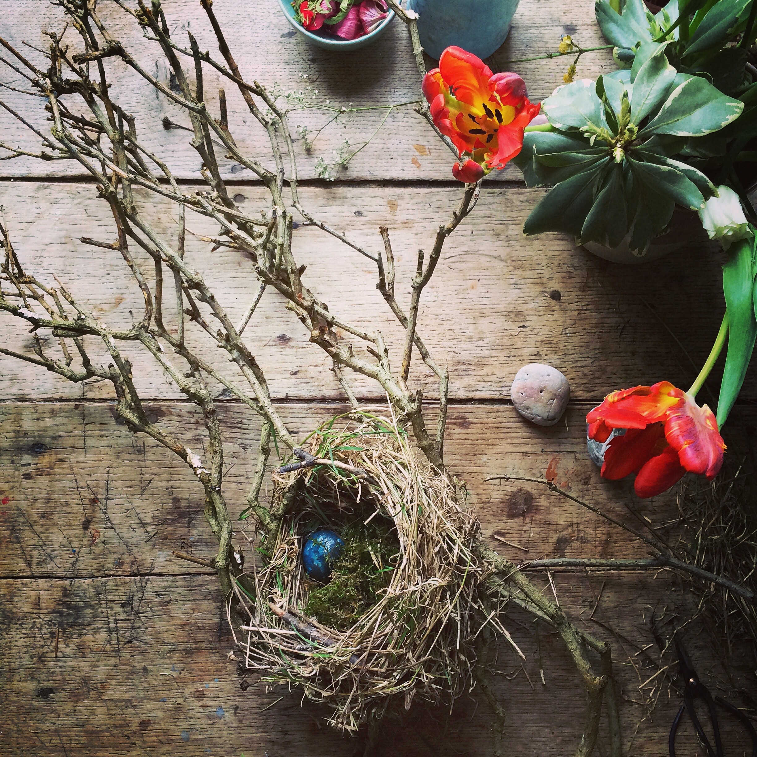 Birds nest | Philippa Stanton