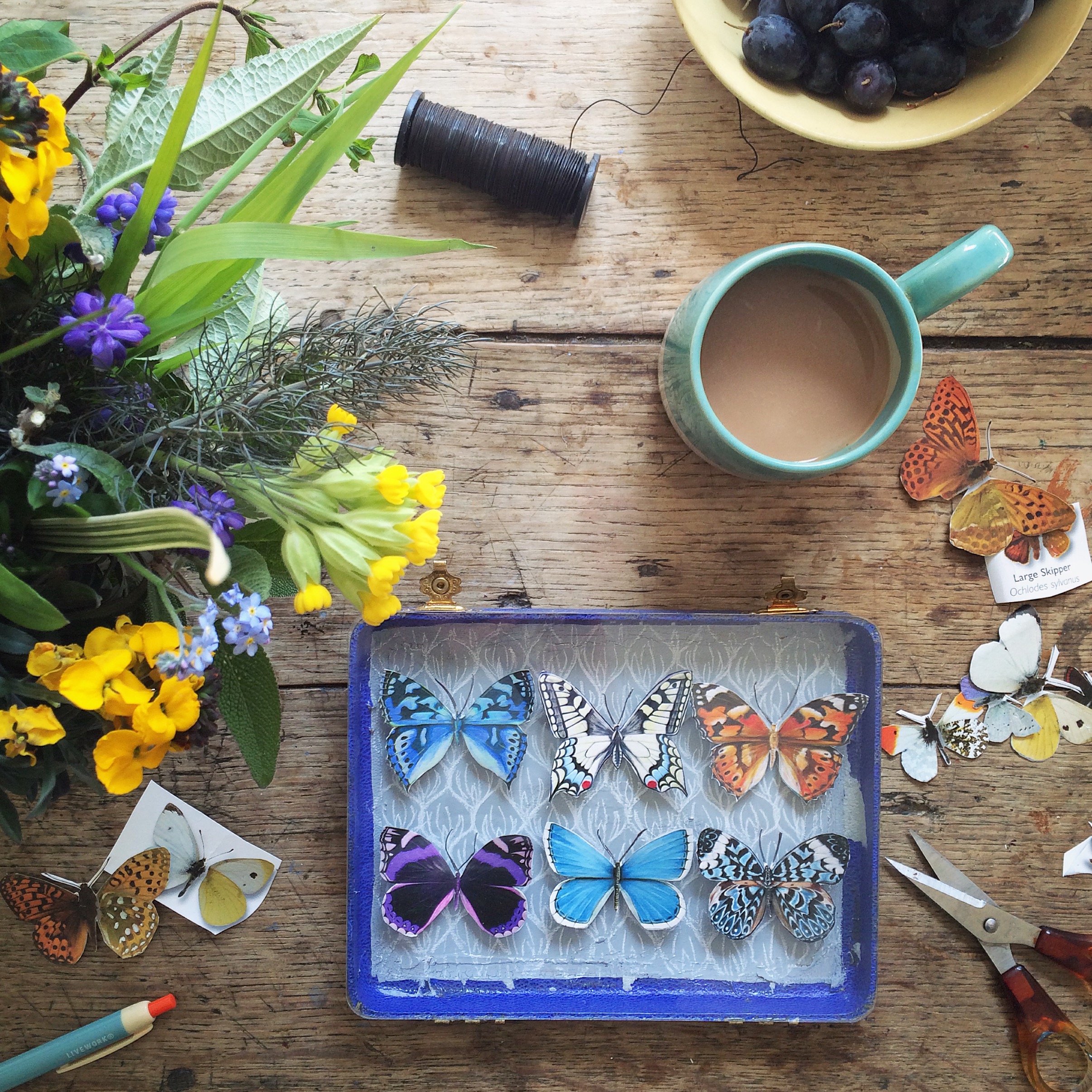 Butterfly flat lay inspiration