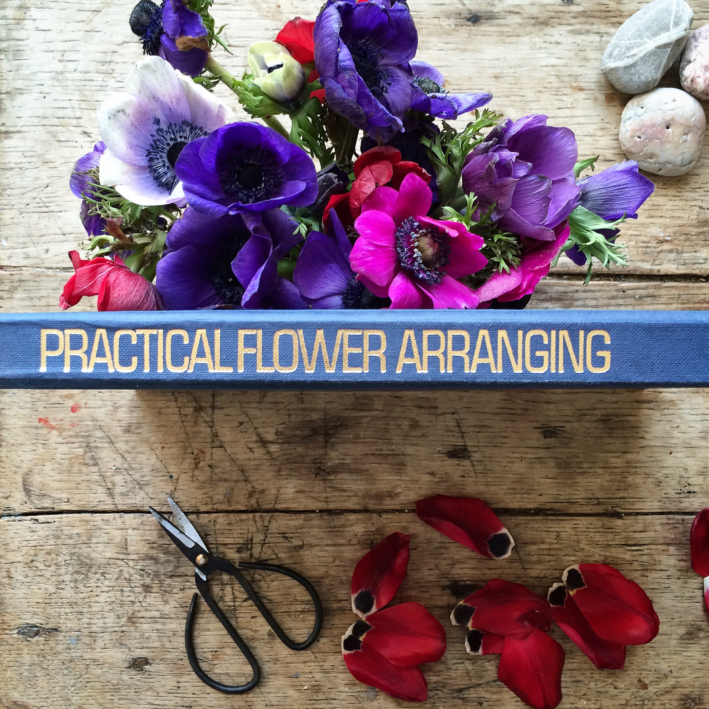 Flower Arranging | Philippa Stanton