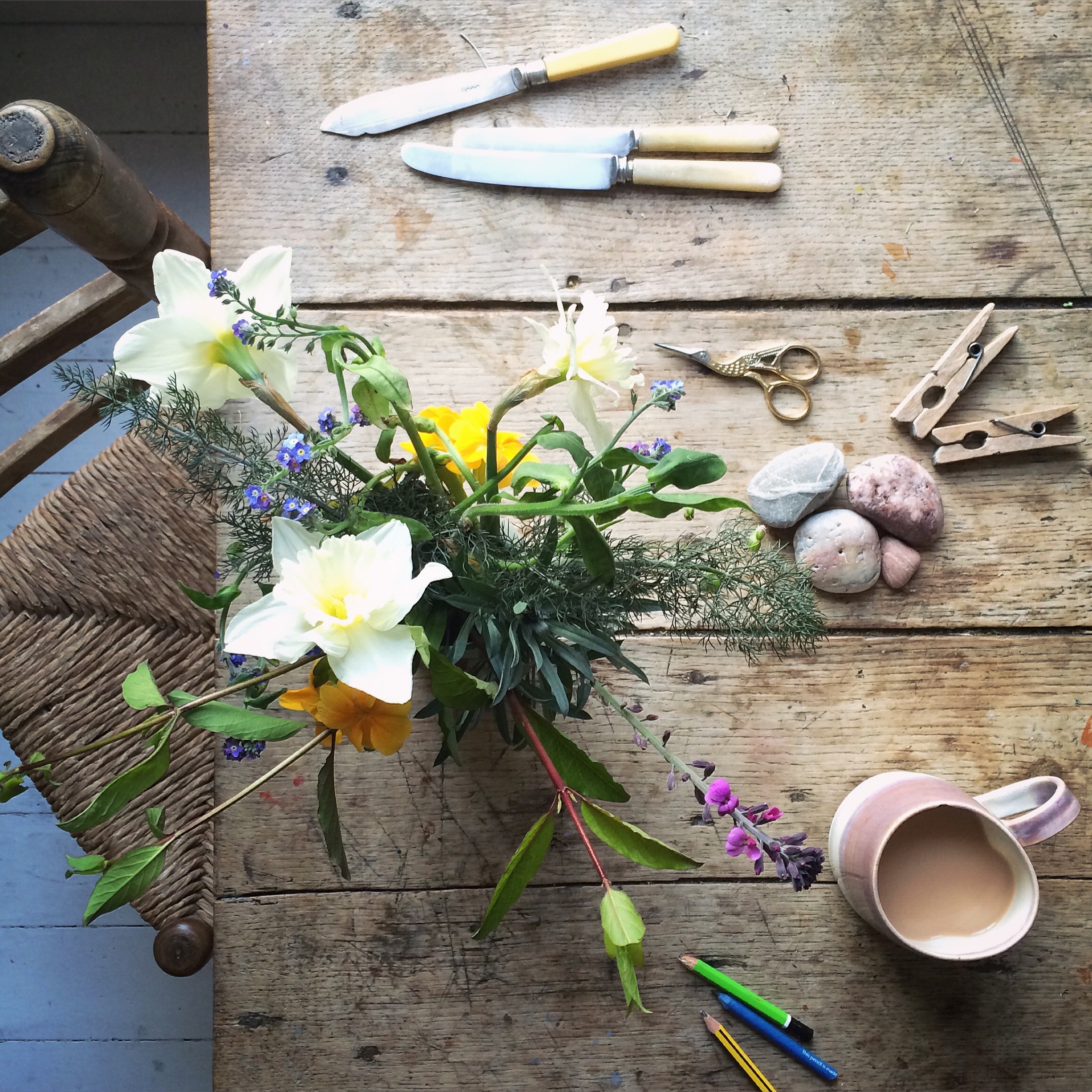 Garden flat lay photography | Philippa Stanton