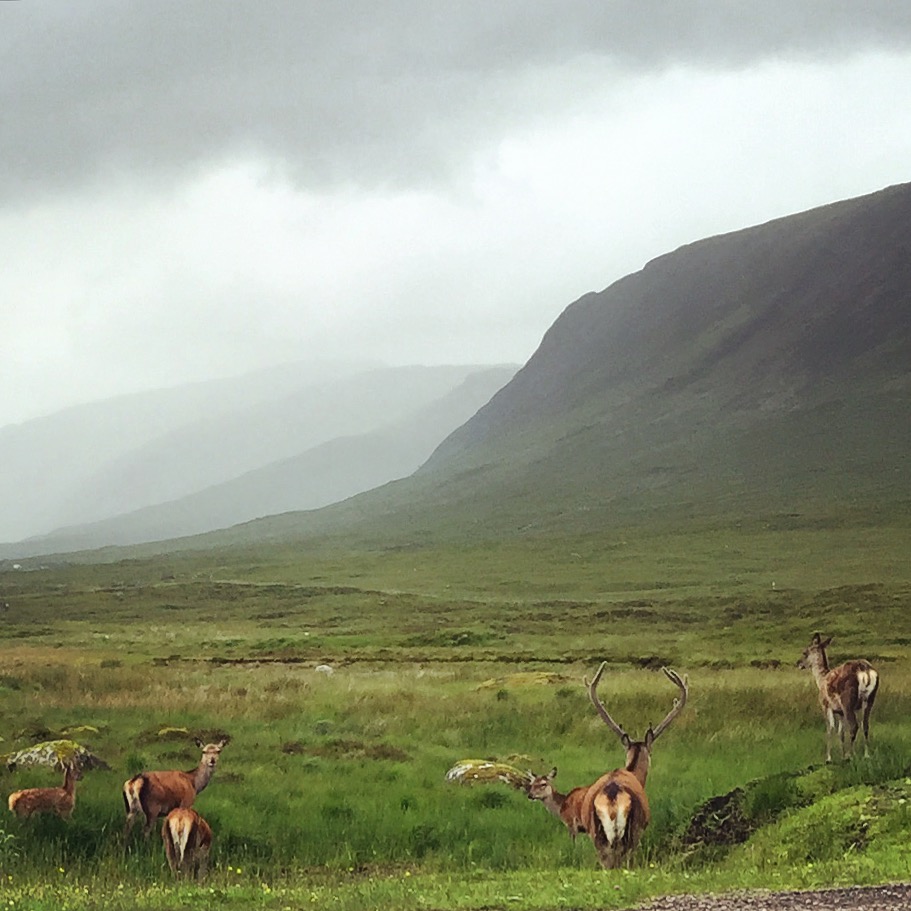 The Scottish Highlands