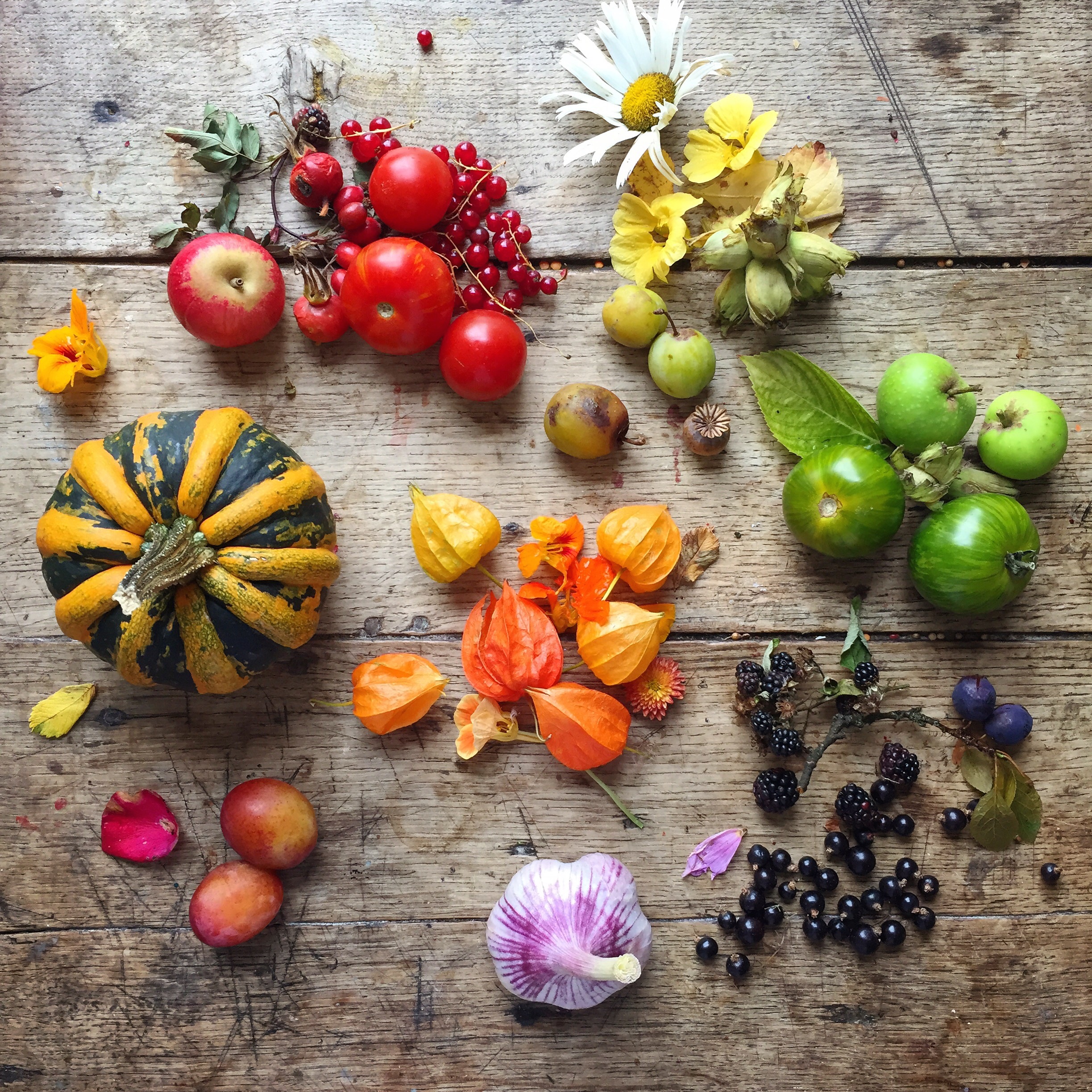 Colourful veg and fruit