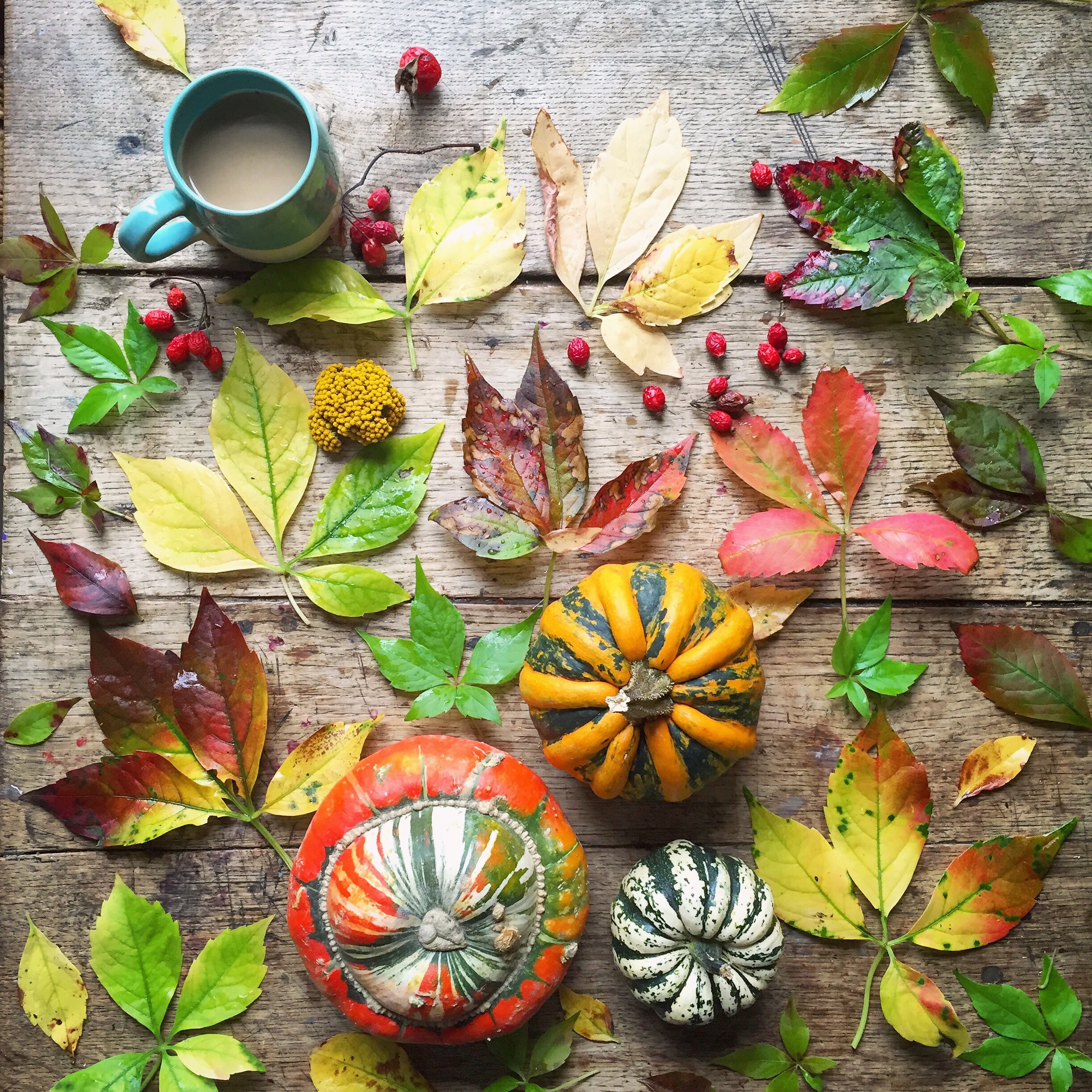 Pumpkins and leaves