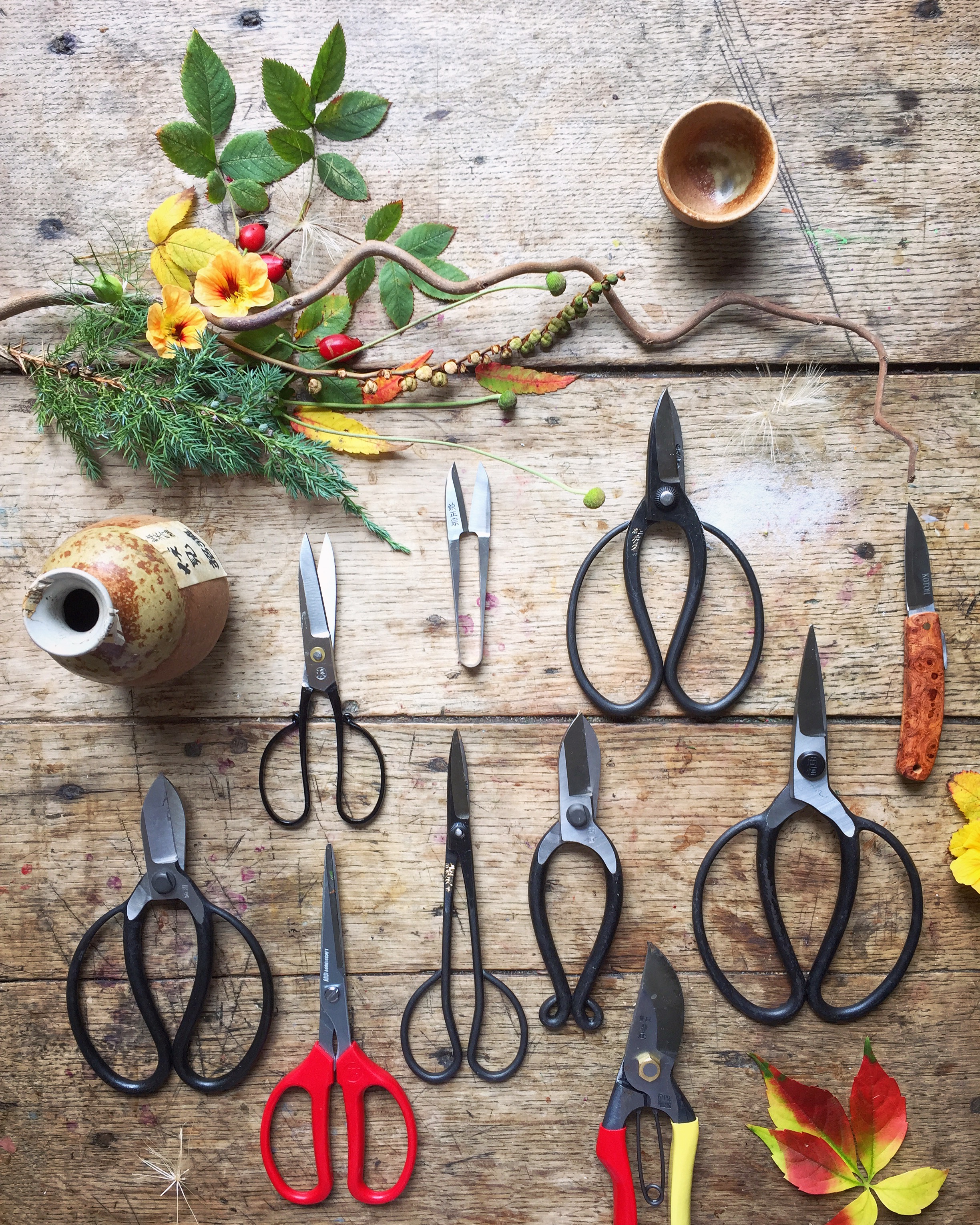 Scissors flat lay