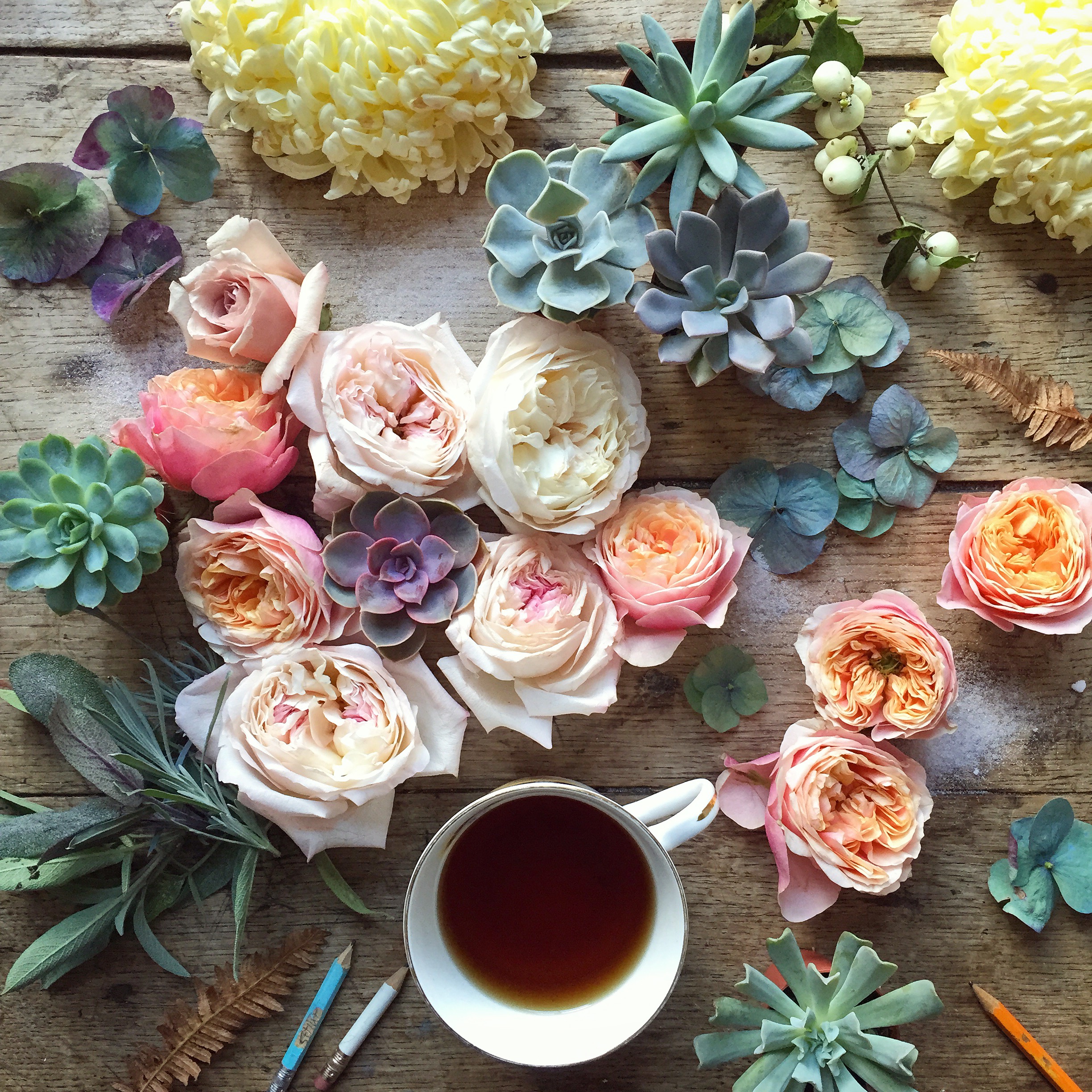 flowers and succulents