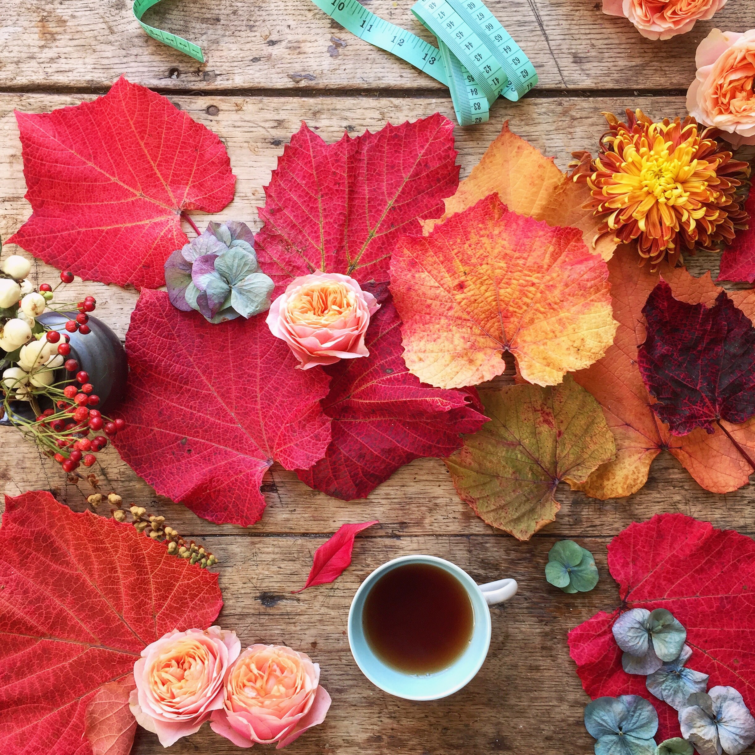 red and blue flat lay image