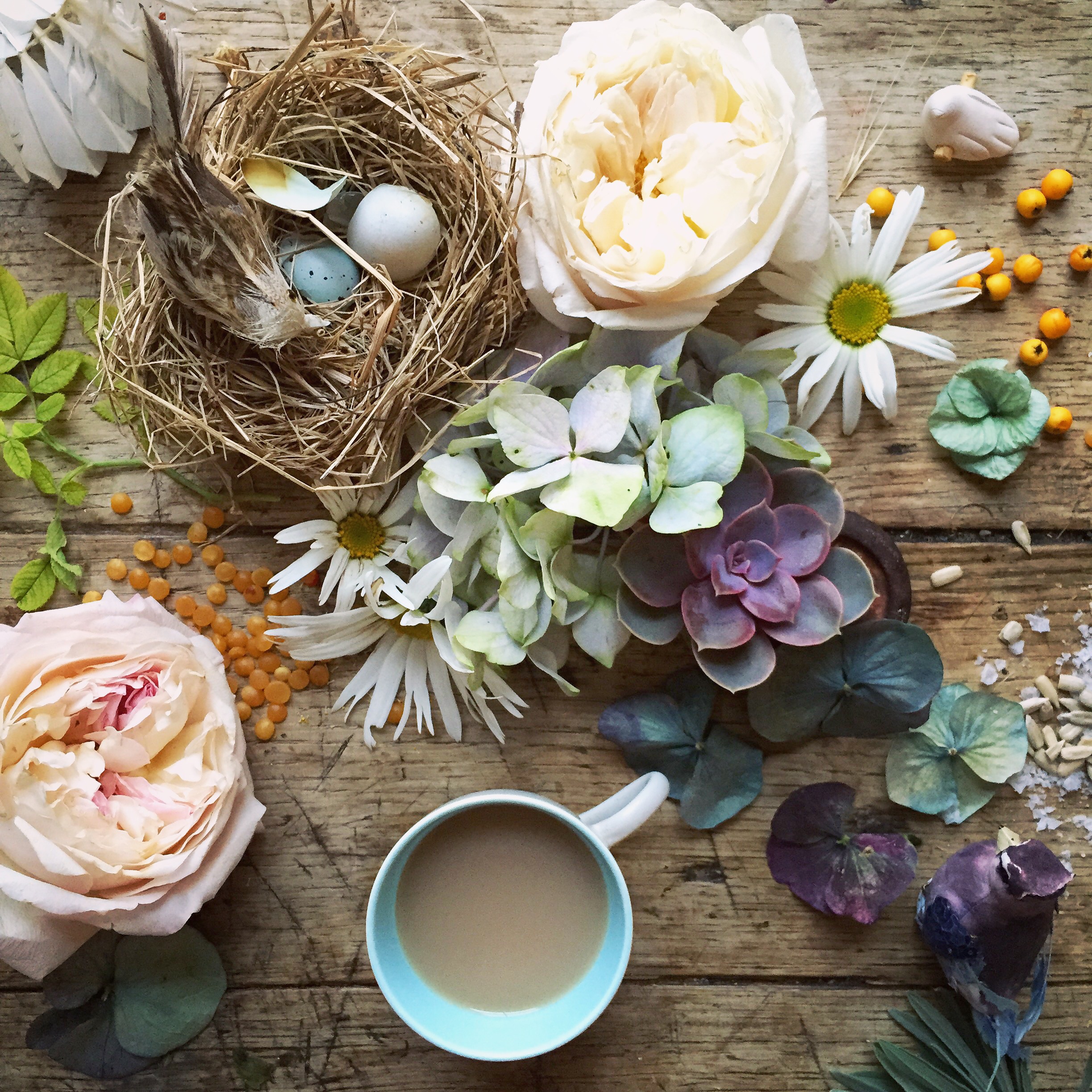 Birds nest flat lay photography