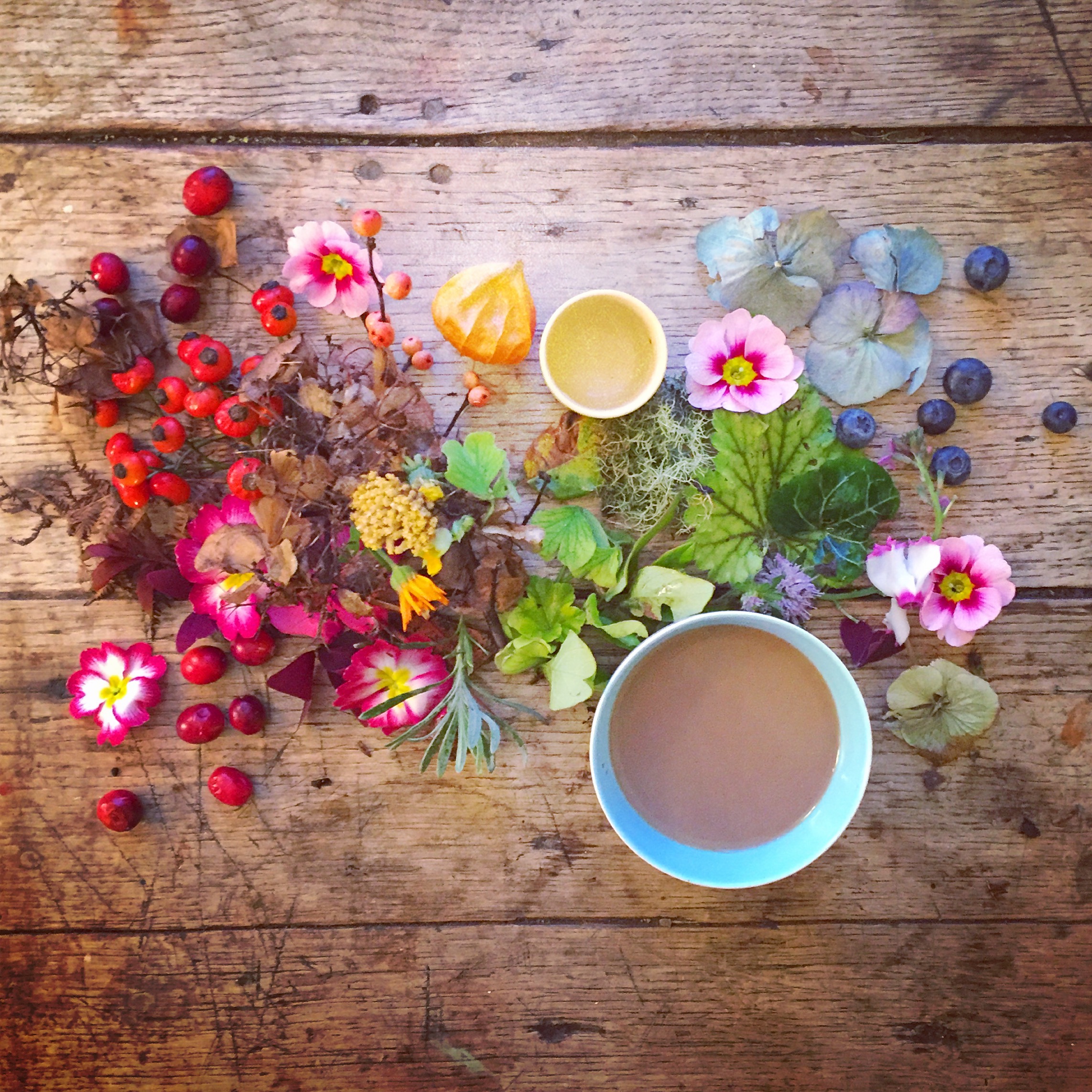 colourful flat lay image