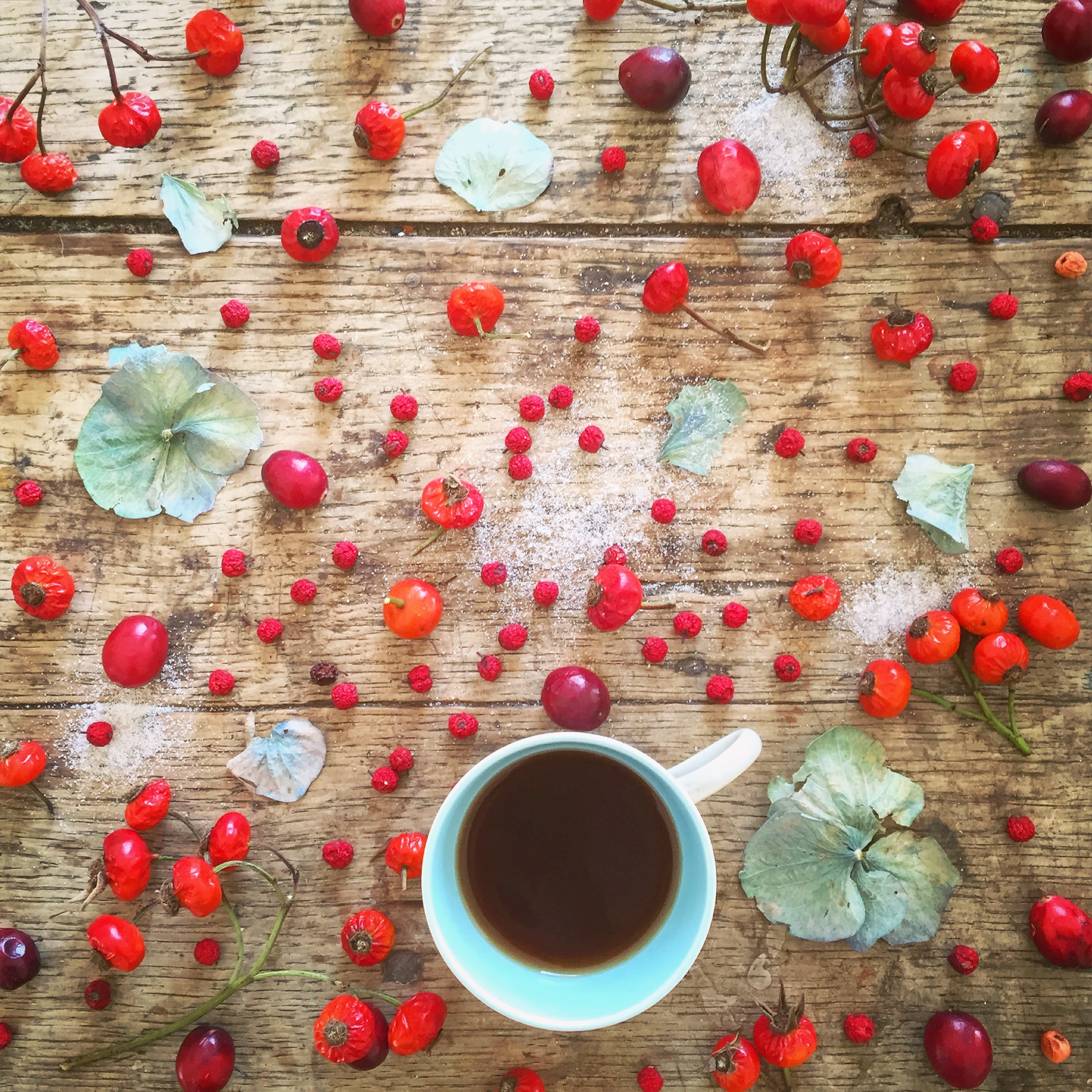 red fruit photography