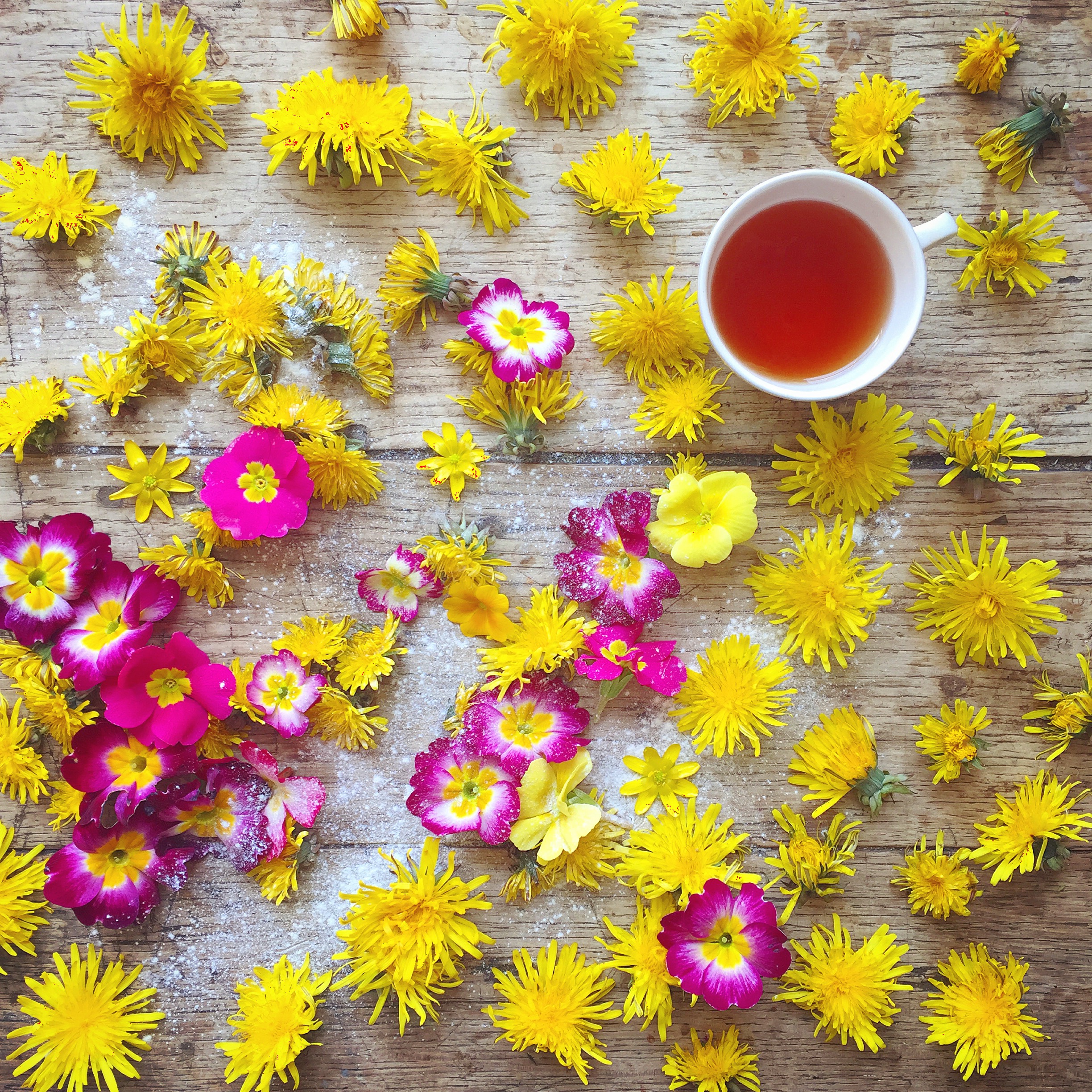 yellow and pink flower flat lay image